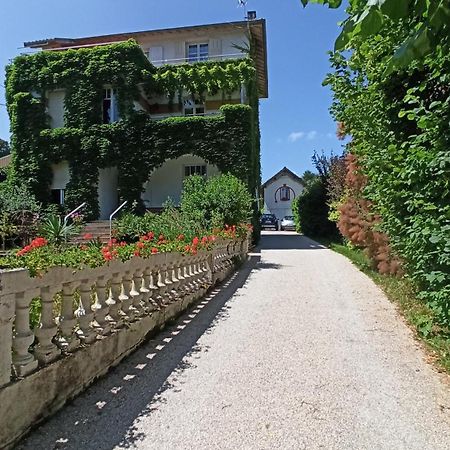 Une Tiny House à découvrir au cœur de la cité ! Contrexéville Exterior foto