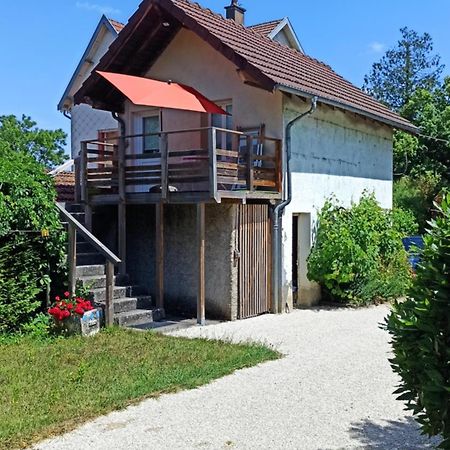 Une Tiny House à découvrir au cœur de la cité ! Contrexéville Exterior foto